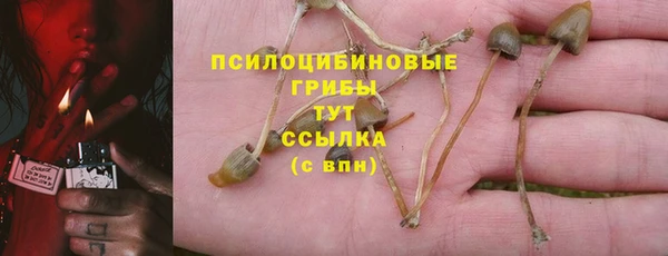 кристаллы Богородицк