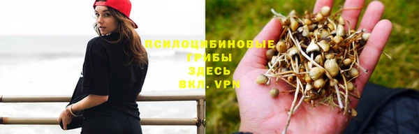 кристаллы Богородицк