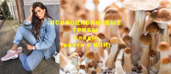 apvp Богданович
