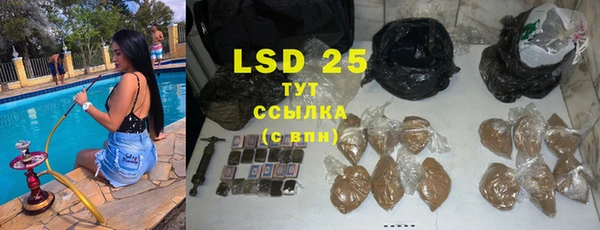 apvp Богданович