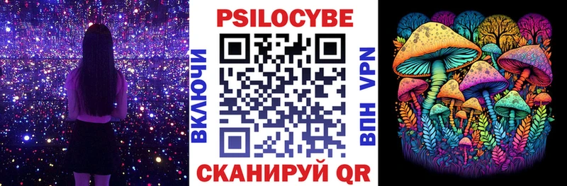 где купить   Менделеевск  Псилоцибиновые грибы Psilocybe 